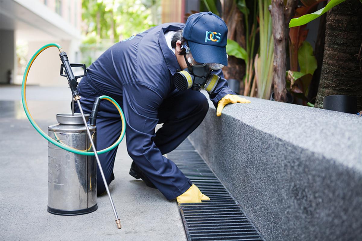 Comprehensive Guide to Exterminator Services in Lewisville, TX